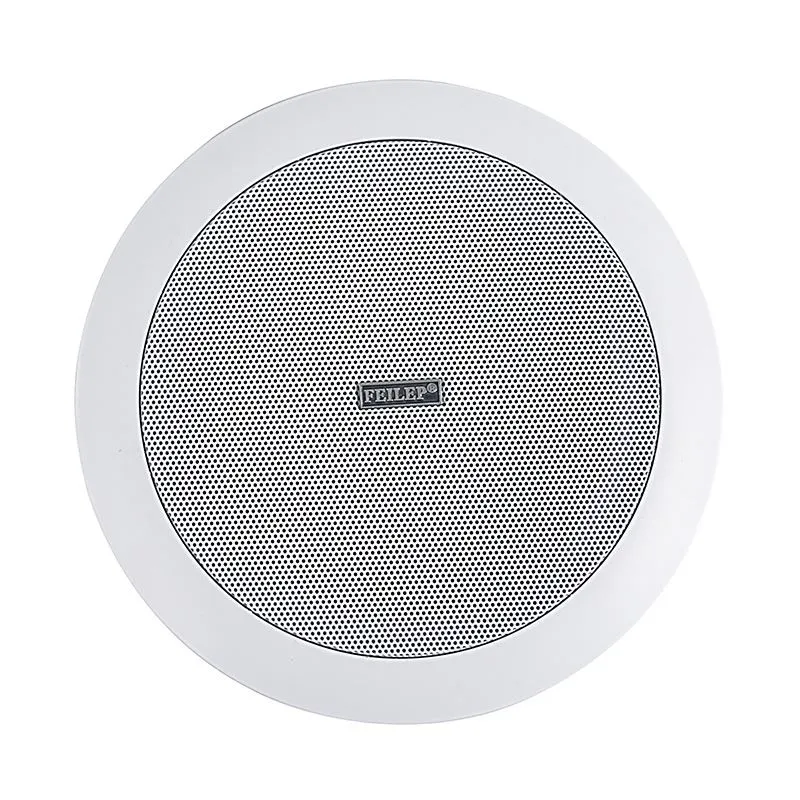 6.5 Inch In Ceiling Speakers
