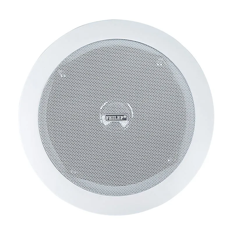 Background Music In Ceiling in Wall Speakers Background Music In Ceiling in Wall Speakers