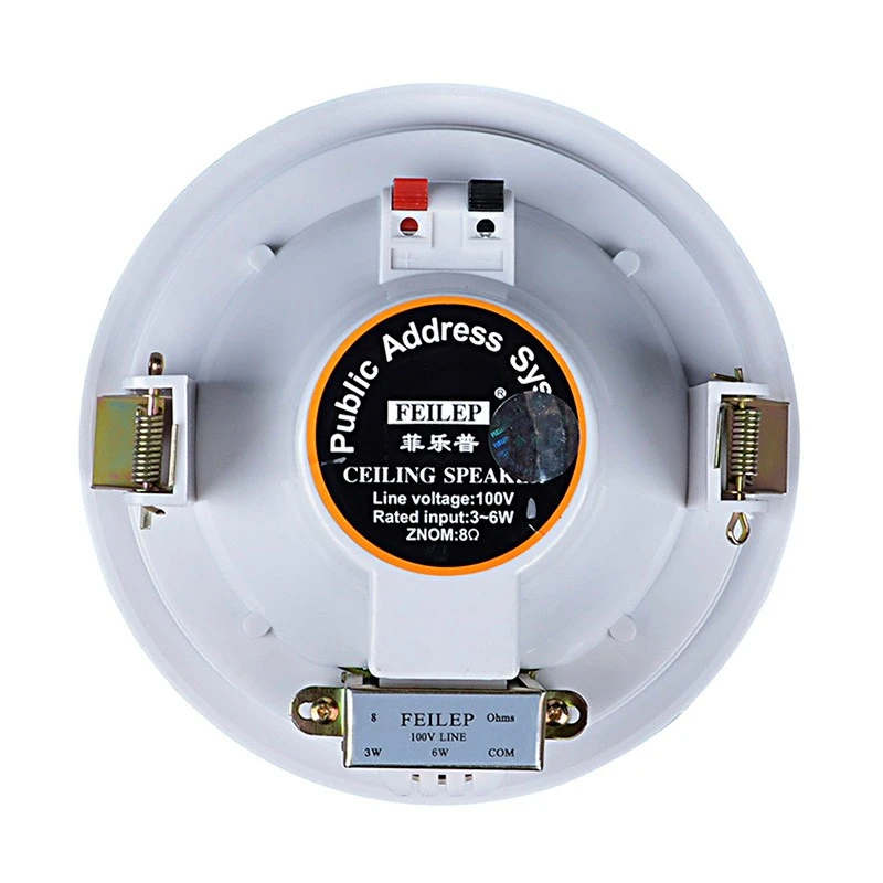 Voice evacuation system In ceiling in wall speakers (2)